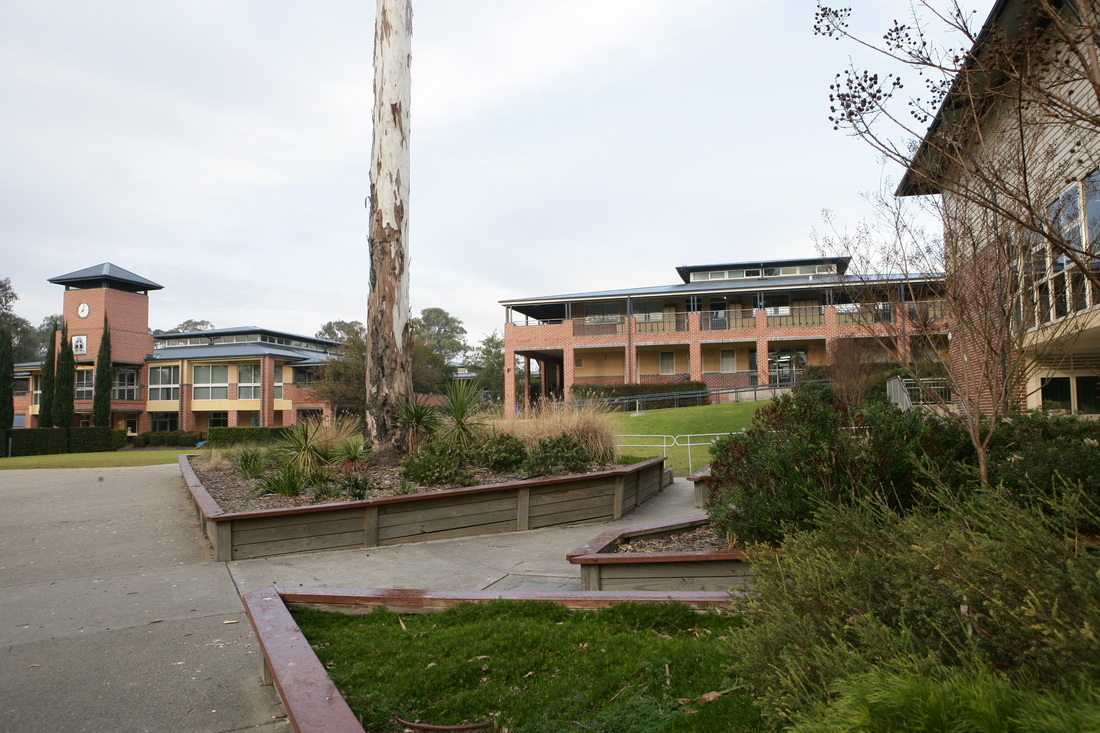 Rouse Hill Anglican College campus showing brick buildings with clock tower, covered walkways, landscaped grounds and mature eucalyptus tree